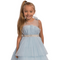 Sapphire Princess Gown